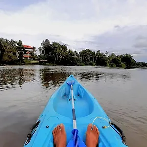 Pearl Spot *** Nedumbassery